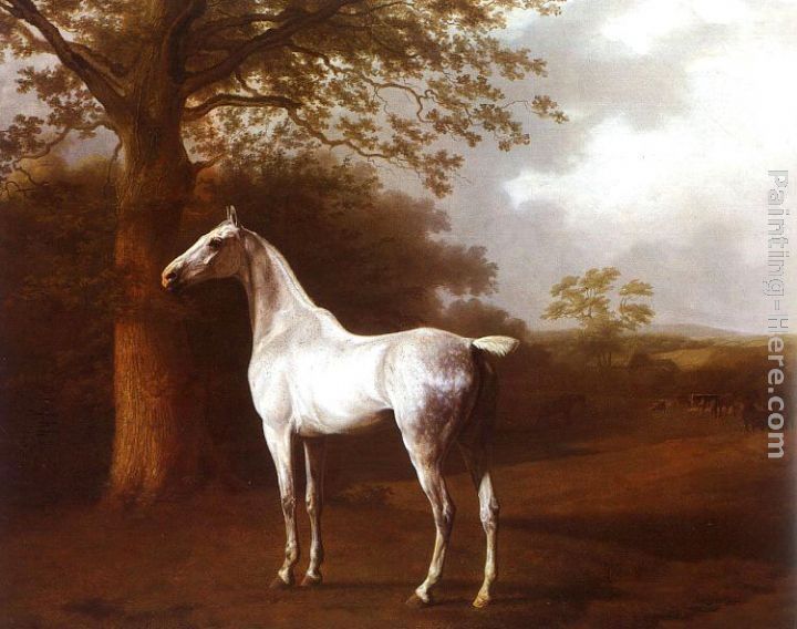 Jacques-Laurent Agasse White Horse in Pasture